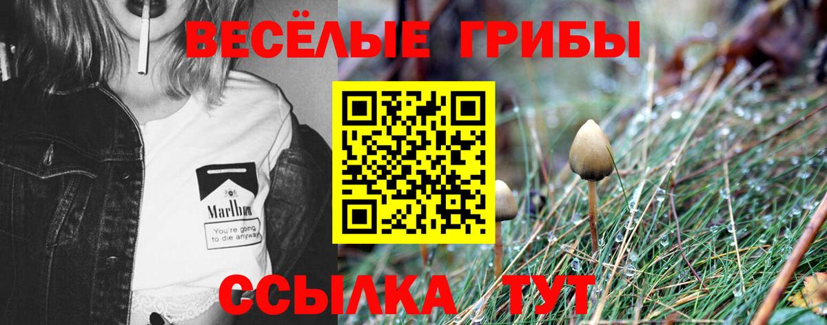 Псилоцибиновые грибы Magic Shrooms  Вход с VPN  Пятигорск  Галлюциногенные грибы мухоморы 