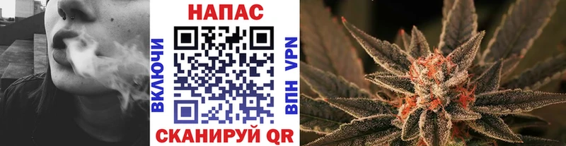 Каннабис MAZAR  где купить наркоту  сайты даркнета состав  Пятигорск 
